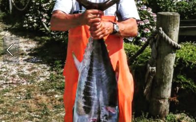 Chasing Bluefin & Yellowfin on TUNA TIME: What to Expect on a Montauk Tuna Fishing Charter