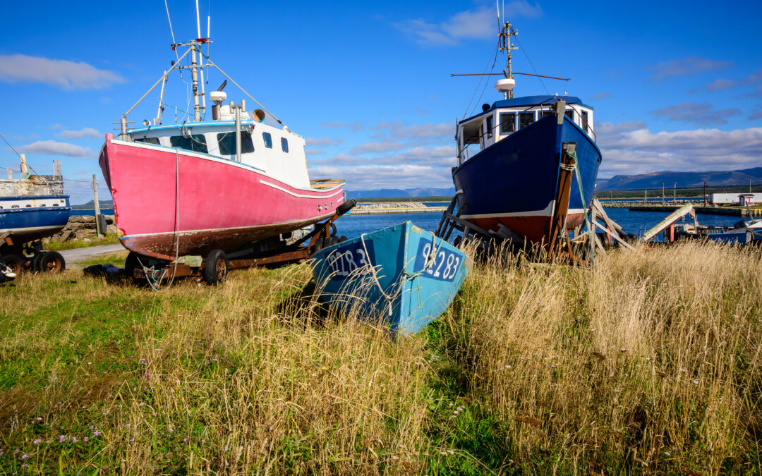 Fishing Charters in Montauk